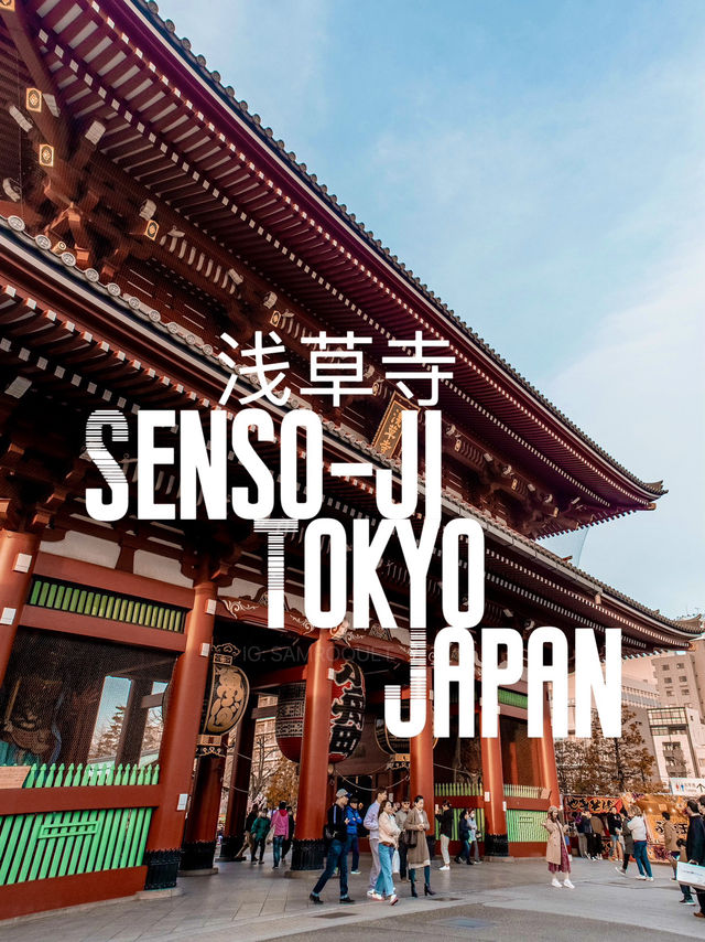 Sensoji Lights Up🌙