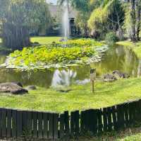 A Fantastic Stay at Nexus Resort & Spa Karambunai 🌴✨