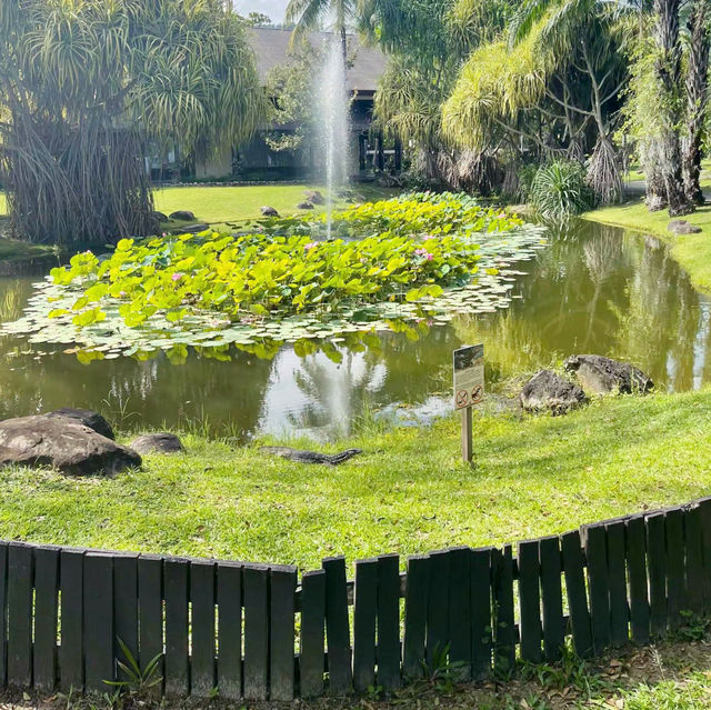 A Fantastic Stay at Nexus Resort & Spa Karambunai 🌴✨