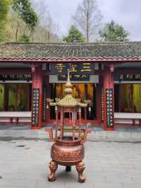 Panda Vibes & Chill Scenes at Chengdu’s Top Park 🐼☕️