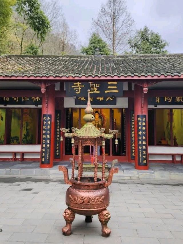 Panda Vibes & Chill Scenes at Chengdu’s Top Park 🐼☕️ Panda Vibes & Chill Scenes at Chengdu’s Top Park 🐼☕️