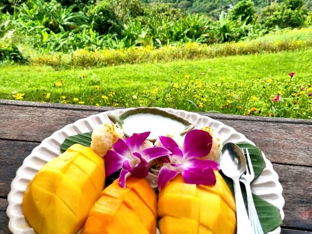 Phuket Vibe Check: Sipping Coconut & Chillin’ at Surin Beach Viewpoint 🥭🌴