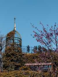 Studio Ghibli Museum ✨💕 Tokyo