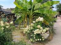 【韓國🇰🇷•慶州】崔氏古宅