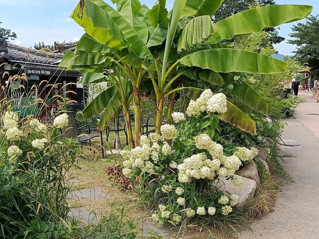 【韓國🇰🇷•慶州】崔氏古宅