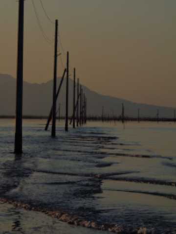 熊本に来たらここに行け！