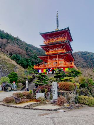 ⛩️ ทริปแสวงบุญ 5 วัน สู่เส้นทางชูเฮะ แห่งคุมาโนะโคโดะ 🇯🇵