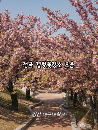 아름다운 국내 겹벚꽃 명소 10곳 모음