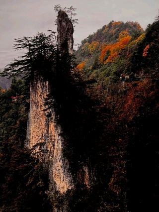 🍃 Guangwu Mountain | A New Landscape in Every Season