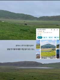 🚗 쿠마모토에서 렌터카 여행을 떠난 이유 🌿