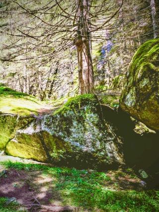 白山比咩神社與懸崖苔蘚冷杉林：石川縣海拔 2,702 米的神聖之山 easytravelp。