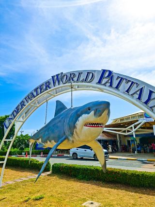 Ever gone for an underwater stroll in Pattaya? Underwater World Pattaya.