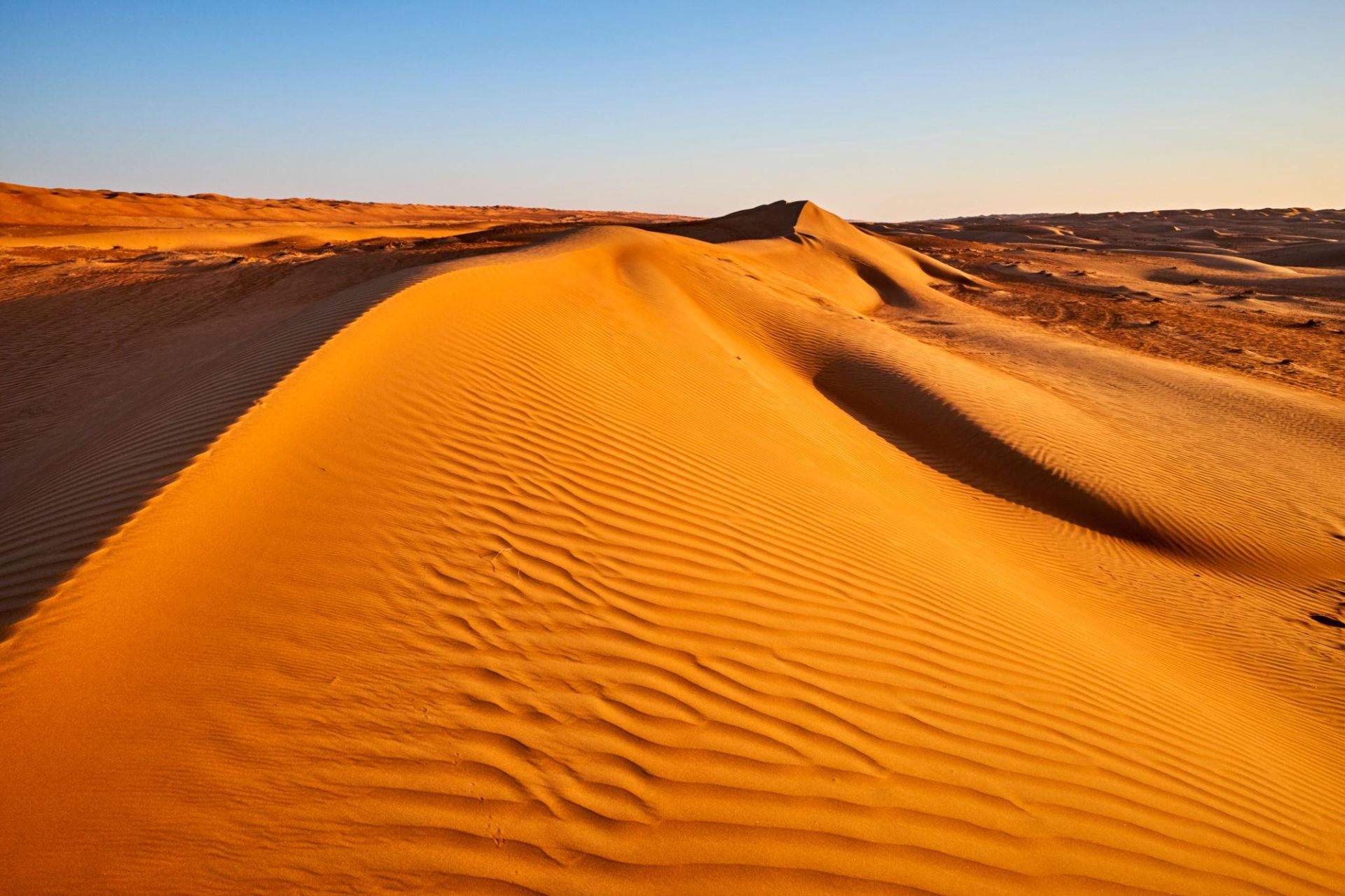 🏜️ Wahiba Sands (Sharqiya Sands): The Golden Dunes of Oman!