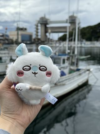 Numazu Fishing Port - A waterfront attraction that combines food, sightseeing and experience