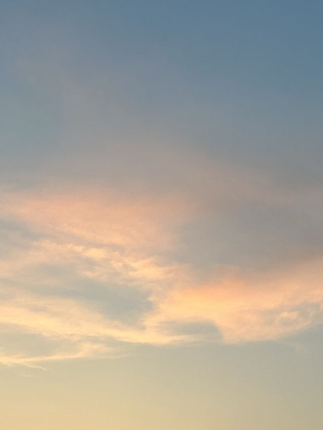 🍀서울, 나만 알고 싶은 피크닉 명소 난지한강공원