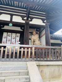 【奈良県🇯🇵法隆寺】日本最初の世界文化遺産☺️