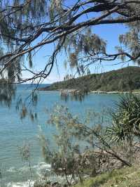 Beautiful National Park in Noosa