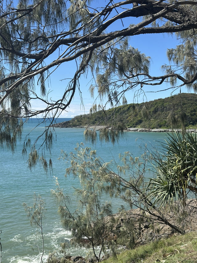 Beautiful National Park in Noosa