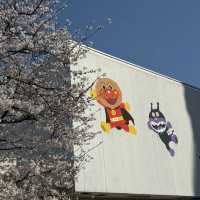48 Hours in Kansai: Spring Vibes and New Discoveries