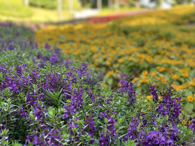 Seaworld Shenzhen - To see the world Seaworld Shenzhen - To see the world