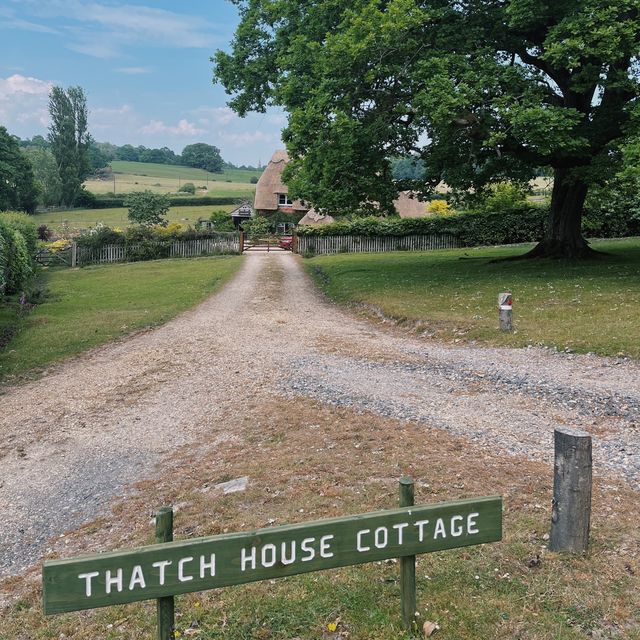 Immerse in tranquility in the New Forest