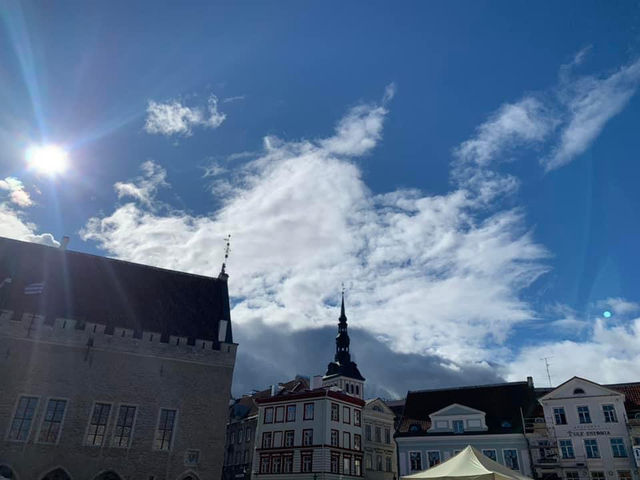 愛沙尼亞🇪🇪景點-塔林市政廳