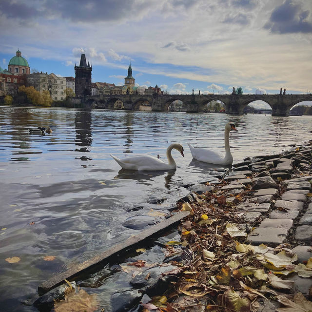 Charming & Historic Prague 🤩