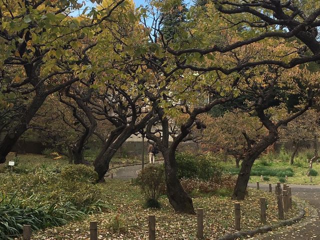 Shiba Park Tokyo 🗺️