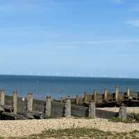 【英國】去海邊玩！食生蠔！Whitstable 3大熱門拍攝景點推介