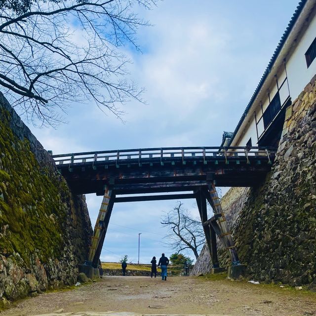 【滋賀県/国宝  彦根城🏯】