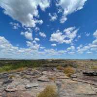 Kakadu National Park 🌳🌴