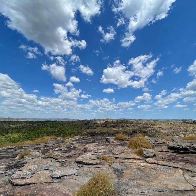 Kakadu National Park 🌳🌴