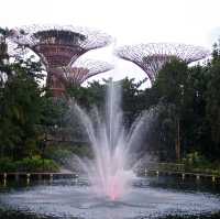 Singing in Singapore