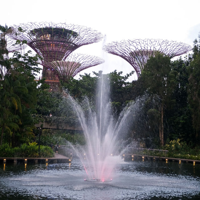 Singing in Singapore
