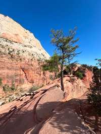 A visit to the National Park 🇺🇸