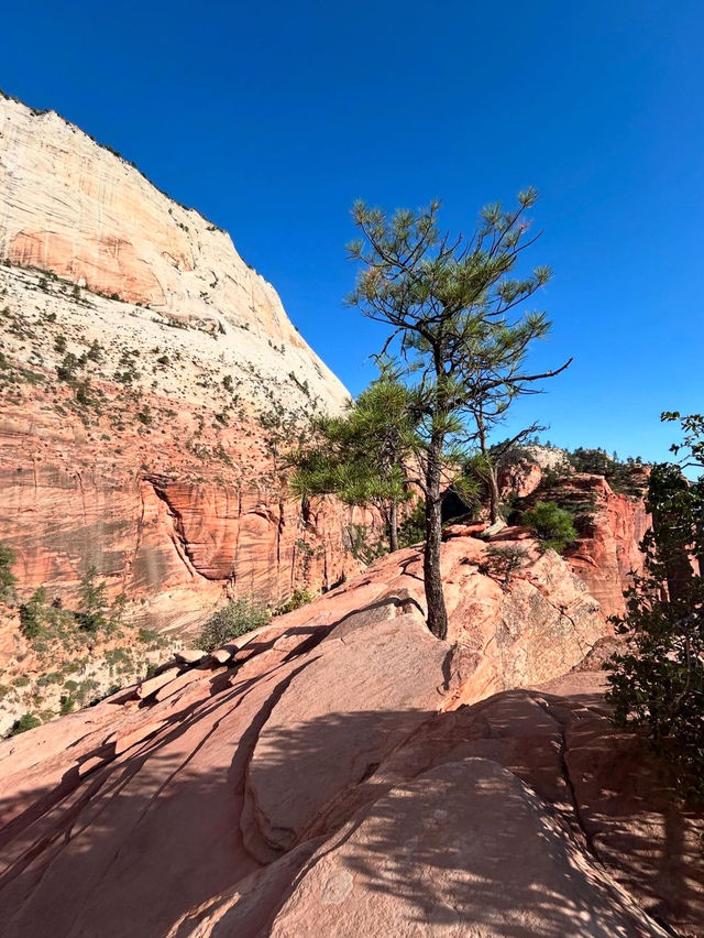 A visit to the National Park 🇺🇸