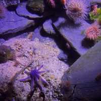 Up-close and personal with the marine world!