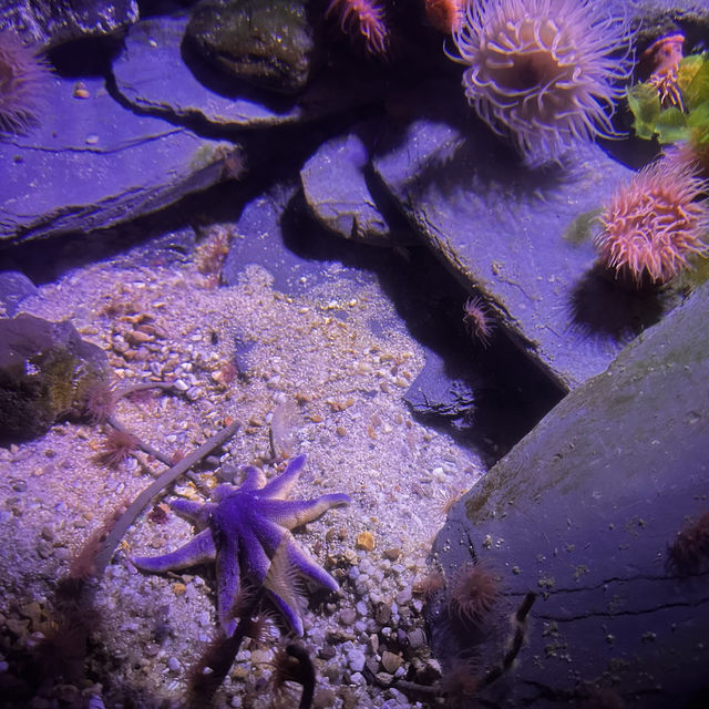 Up-close and personal with the marine world!