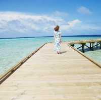 Paradise Found