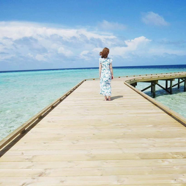 Paradise Found