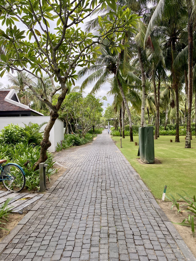 🏞️ Relaxing Nature Walks