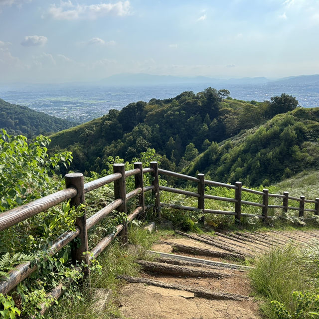 A must-visit to Mount Wakakusa in Japan! ⛰️ 