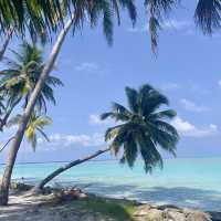 Maldives: Dream destination that won’t break the bank!