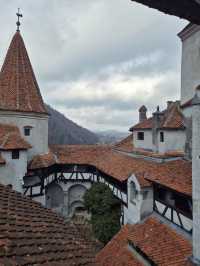 Bran Castle Romania 🏛️