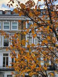 Exploring Paddington, London: A Charming Blend of History and Modern Vibes  