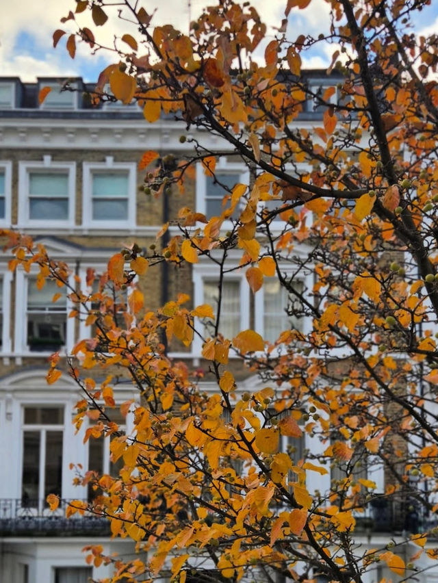 Exploring Paddington, London: A Charming Blend of History and Modern Vibes  
