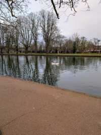 Morning visit at Bedford 