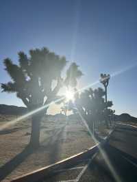 3 days in Palm Springs