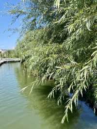 A charming place by the lake in Kazan 