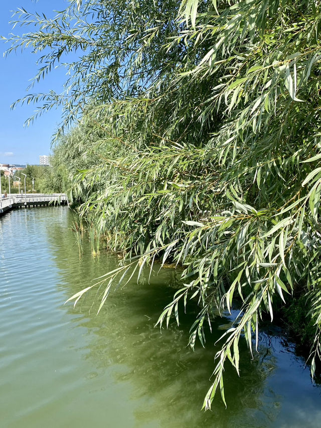 A charming place by the lake in Kazan 